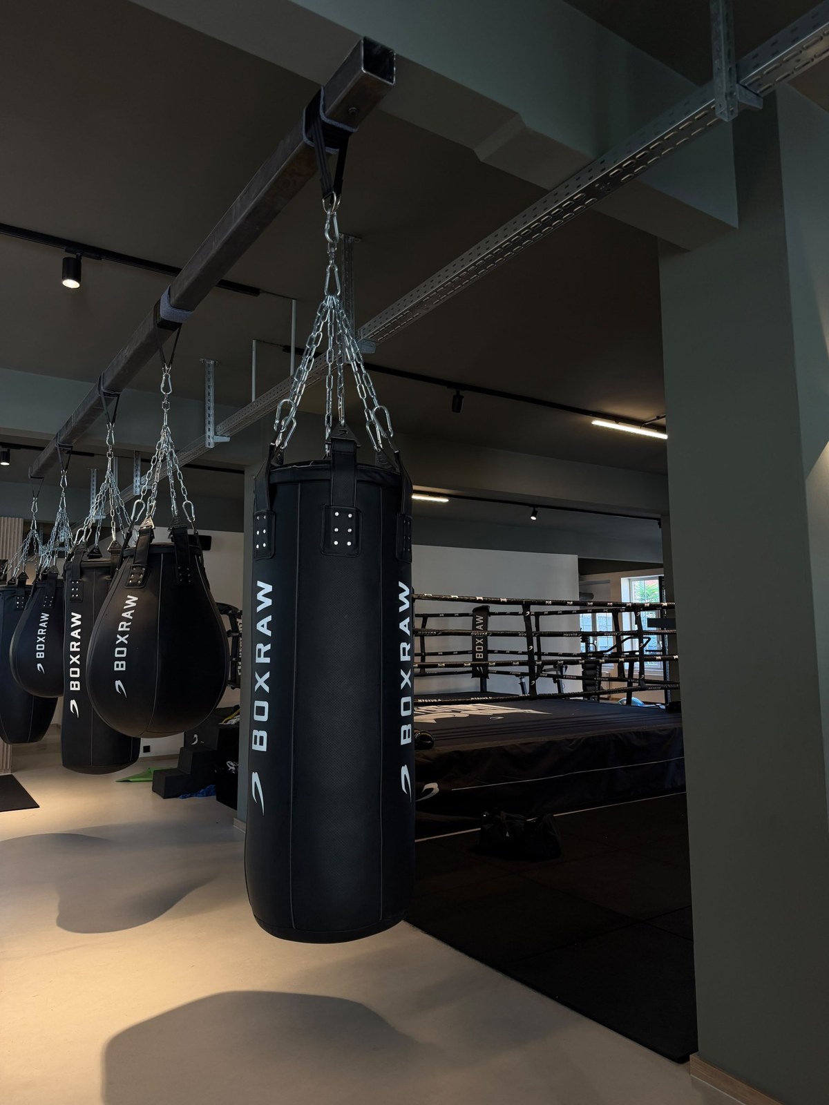 Industrial Gym, Frankfurt
